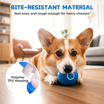 ✨Electric Rolling Pet Toy Ball  for Dogs✅ Bite-resistant TPR material ✅USB rechargeable