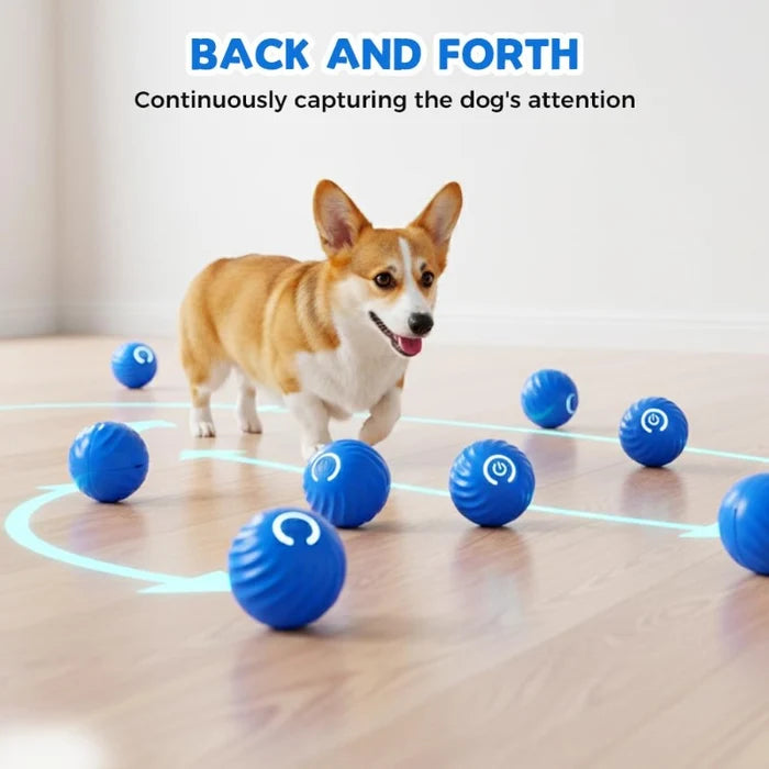 ✨Electric Rolling Pet Toy Ball  for Dogs✅ Bite-resistant TPR material ✅USB rechargeable