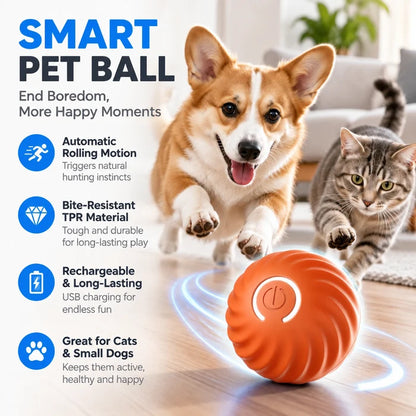 ✨Electric Rolling Pet Toy Ball  for Dogs✅ Bite-resistant TPR material ✅USB rechargeable