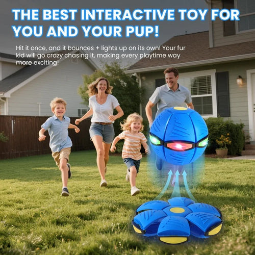✨Children's bouncing ball，pet bouncing ball, Magic metaball ，Magic Flying Saucer，bouncy ball，Parent-child interaction (Suitable for small dogs）