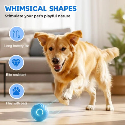 ✨Electric Rolling Pet Toy Ball  for Dogs✅ Bite-resistant TPR material ✅USB rechargeable