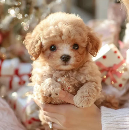 🐶 - My Realistic  Puppy - Interactive Toys