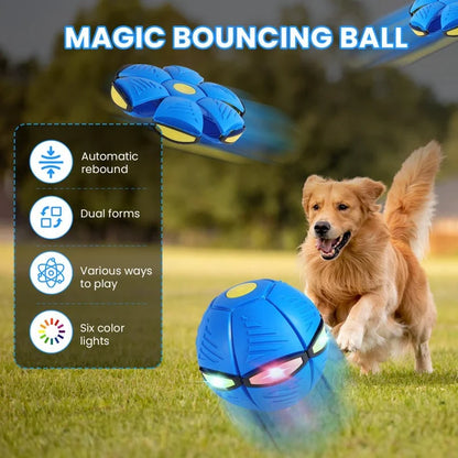 ✨Children's bouncing ball，pet bouncing ball, Magic metaball ，Magic Flying Saucer，bouncy ball，Parent-child interaction (Suitable for small dogs）