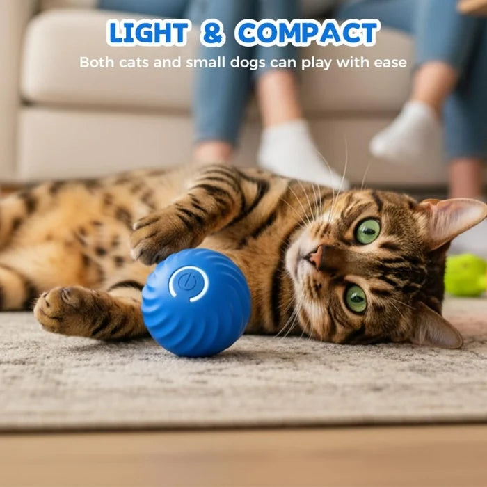 ✨Electric Rolling Pet Toy Ball  for Dogs✅ Bite-resistant TPR material ✅USB rechargeable